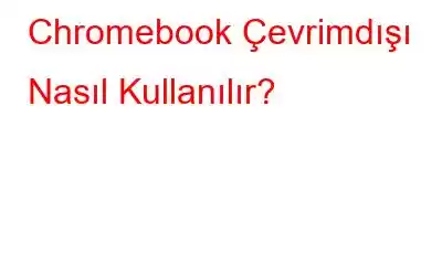 Chromebook Çevrimdışı Nasıl Kullanılır?