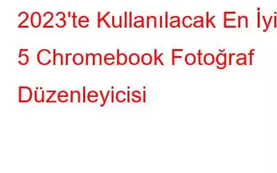 2023'te Kullanılacak En İyi 5 Chromebook Fotoğraf Düzenleyicisi