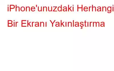 iPhone'unuzdaki Herhangi Bir Ekranı Yakınlaştırma