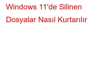 Windows 11'de Silinen Dosyalar Nasıl Kurtarılır