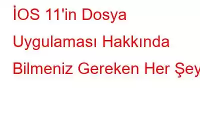 İOS 11'in Dosya Uygulaması Hakkında Bilmeniz Gereken Her Şey