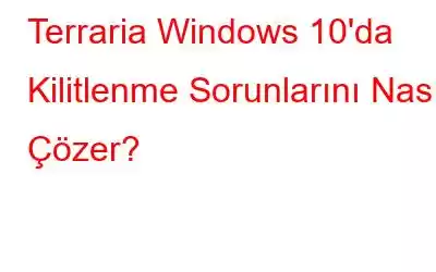 Terraria Windows 10'da Kilitlenme Sorunlarını Nasıl Çözer?