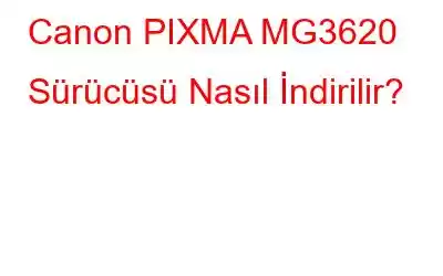 Canon PIXMA MG3620 Sürücüsü Nasıl İndirilir?