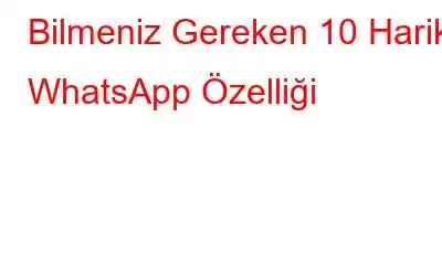 Bilmeniz Gereken 10 Harika WhatsApp Özelliği