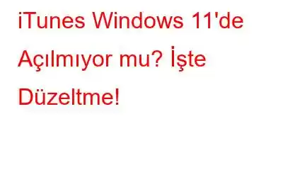 iTunes Windows 11'de Açılmıyor mu? İşte Düzeltme!