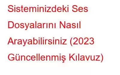 Sisteminizdeki Ses Dosyalarını Nasıl Arayabilirsiniz (2023 Güncellenmiş Kılavuz)