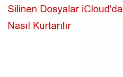 Silinen Dosyalar iCloud'dan Nasıl Kurtarılır