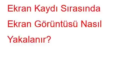 Ekran Kaydı Sırasında Ekran Görüntüsü Nasıl Yakalanır?