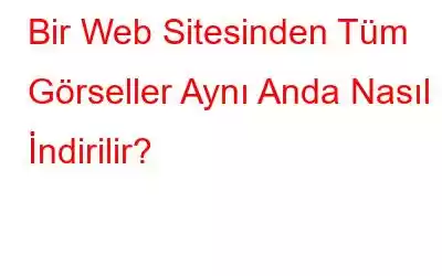 Bir Web Sitesinden Tüm Görseller Aynı Anda Nasıl İndirilir?