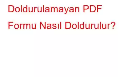 Doldurulamayan PDF Formu Nasıl Doldurulur?