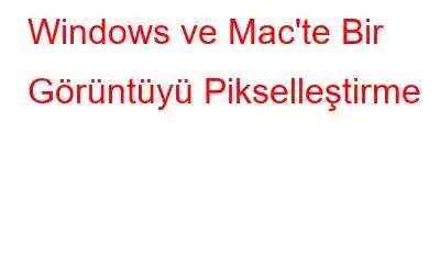 Windows ve Mac'te Bir Görüntüyü Pikselleştirme