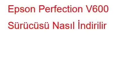 Epson Perfection V600 Sürücüsü Nasıl İndirilir