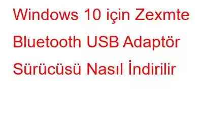 Windows 10 için Zexmte Bluetooth USB Adaptör Sürücüsü Nasıl İndirilir