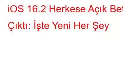 iOS 16.2 Herkese Açık Beta Çıktı: İşte Yeni Her Şey