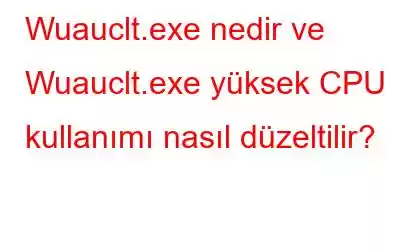 Wuauclt.exe nedir ve Wuauclt.exe yüksek CPU kullanımı nasıl düzeltilir?