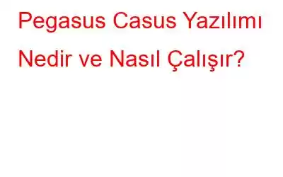 Pegasus Casus Yazılımı Nedir ve Nasıl Çalışır?