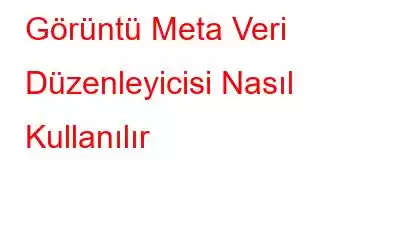 Görüntü Meta Veri Düzenleyicisi Nasıl Kullanılır