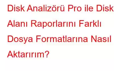 Disk Analizörü Pro ile Disk Alanı Raporlarını Farklı Dosya Formatlarına Nasıl Aktarırım?