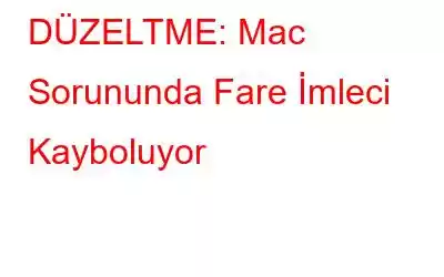 DÜZELTME: Mac Sorununda Fare İmleci Kayboluyor