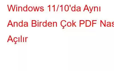 Windows 11/10'da Aynı Anda Birden Çok PDF Nasıl Açılır