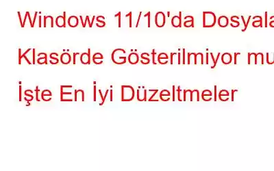 Windows 11/10'da Dosyalar Klasörde Gösterilmiyor mu? İşte En İyi Düzeltmeler