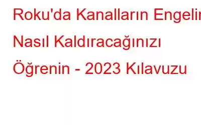 Roku'da Kanalların Engelini Nasıl Kaldıracağınızı Öğrenin - 2023 Kılavuzu