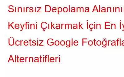 Sınırsız Depolama Alanının Keyfini Çıkarmak İçin En İyi Ücretsiz Google Fotoğraflar Alternatifleri