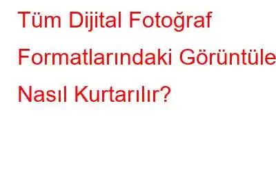 Tüm Dijital Fotoğraf Formatlarındaki Görüntüler Nasıl Kurtarılır?