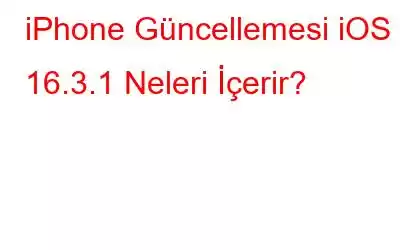 iPhone Güncellemesi iOS 16.3.1 Neleri İçerir?