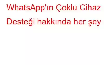 WhatsApp'ın Çoklu Cihaz Desteği hakkında her şey