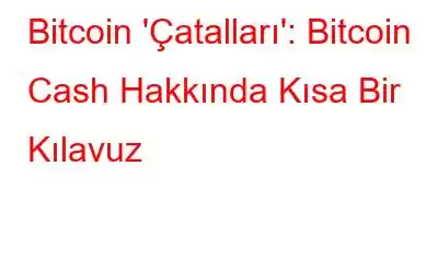 Bitcoin 'Çatalları': Bitcoin Cash Hakkında Kısa Bir Kılavuz