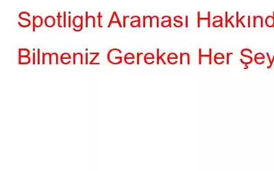 Spotlight Araması Hakkında Bilmeniz Gereken Her Şey