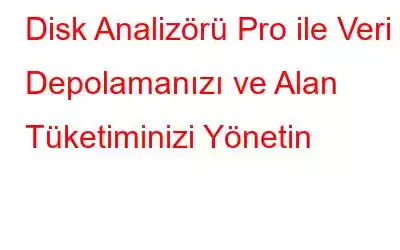 Disk Analizörü Pro ile Veri Depolamanızı ve Alan Tüketiminizi Yönetin