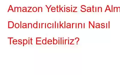 Amazon Yetkisiz Satın Alma Dolandırıcılıklarını Nasıl Tespit Edebiliriz?