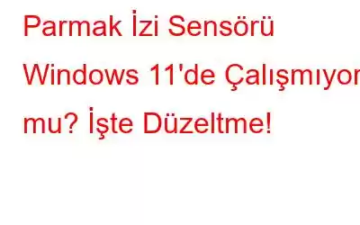 Parmak İzi Sensörü Windows 11'de Çalışmıyor mu? İşte Düzeltme!