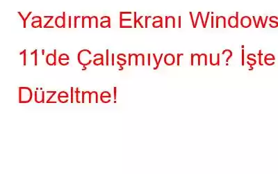 Yazdırma Ekranı Windows 11'de Çalışmıyor mu? İşte Düzeltme!