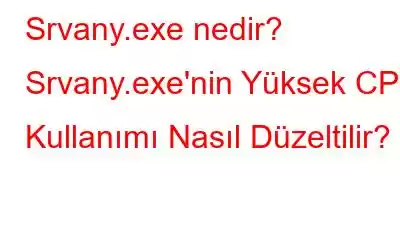 Srvany.exe nedir? Srvany.exe'nin Yüksek CPU Kullanımı Nasıl Düzeltilir?