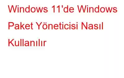 Windows 11'de Windows Paket Yöneticisi Nasıl Kullanılır