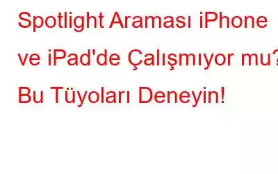 Spotlight Araması iPhone ve iPad'de Çalışmıyor mu? Bu Tüyoları Deneyin!