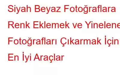 Siyah Beyaz Fotoğraflara Renk Eklemek ve Yinelenen Fotoğrafları Çıkarmak İçin En İyi Araçlar