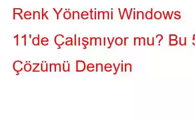 Renk Yönetimi Windows 11'de Çalışmıyor mu? Bu 5 Çözümü Deneyin