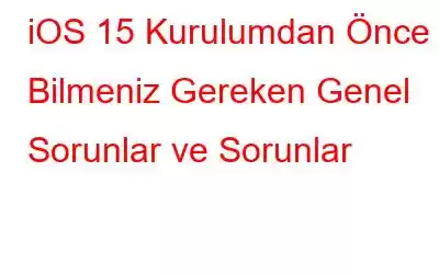 iOS 15 Kurulumdan Önce Bilmeniz Gereken Genel Sorunlar ve Sorunlar