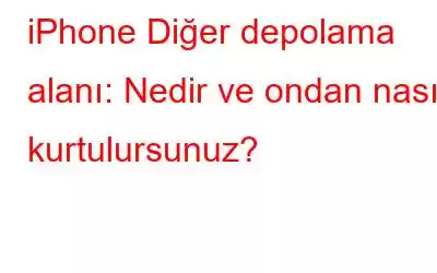 iPhone Diğer depolama alanı: Nedir ve ondan nasıl kurtulursunuz?