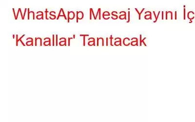 WhatsApp Mesaj Yayını İçin 'Kanallar' Tanıtacak