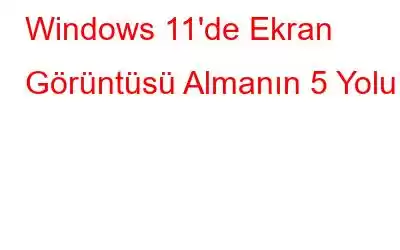 Windows 11'de Ekran Görüntüsü Almanın 5 Yolu