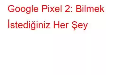 Google Pixel 2: Bilmek İstediğiniz Her Şey