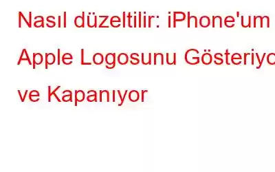 Nasıl düzeltilir: iPhone'um Apple Logosunu Gösteriyor ve Kapanıyor