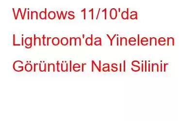 Windows 11/10'da Lightroom'da Yinelenen Görüntüler Nasıl Silinir