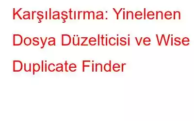 Karşılaştırma: Yinelenen Dosya Düzelticisi ve Wise Duplicate Finder