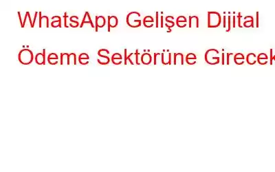 WhatsApp Gelişen Dijital Ödeme Sektörüne Girecek